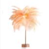 Feather Lamp Nordic Desk Lamp European-Style Bedroom Bedside Feather Table Lamp Night Light Table Lamp Decoration Modern - Image 9